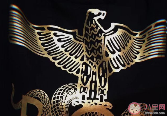 boy燙金被洗掉了怎么辦 boy燙金掉色后怎么補救。