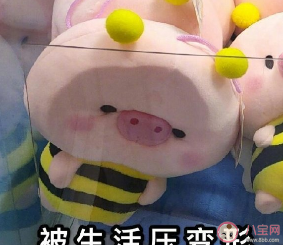 來(lái)大姨媽肚子痛心情說(shuō)說(shuō)圖片 大姨媽肚子痛發(fā)朋友圈的句子 來(lái)大姨媽肚子痛心情說(shuō)說(shuō)圖片 大姨媽肚子痛發(fā)朋友圈的句子