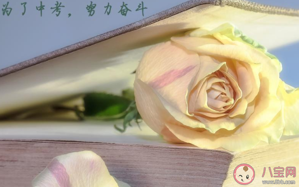 2020中考給自己加油打氣的朋友圈說說 2020中考加油必勝的微信朋友圈句子