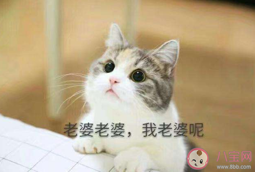 2020可愛優(yōu)秀的彩虹屁文案大全 2020可愛夸人的彩虹屁說說句子 2020可愛優(yōu)秀的彩虹屁文案大全 2020可愛夸人的彩虹屁說說句子