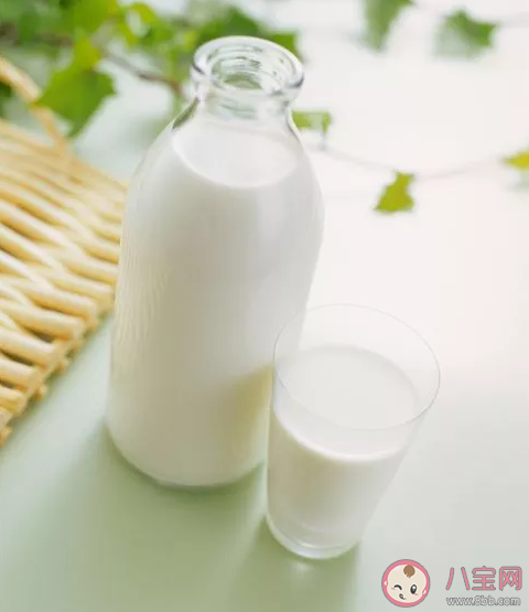 酸奶補鈣效果好還是鮮奶補鈣好 哪個補鈣效果更好