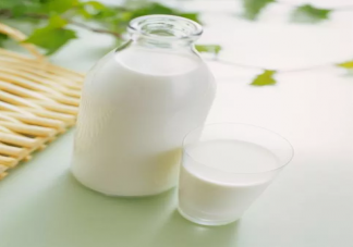 酸奶補鈣效果好還是鮮奶補鈣好 哪個補鈣效果更好
