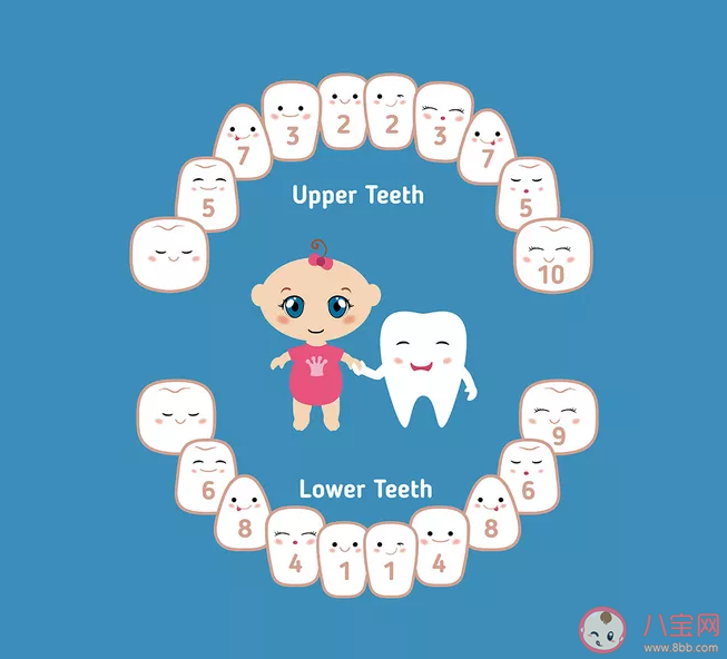 寶寶什么時候長第一顆牙 寶寶長第一顆牙齒的時間