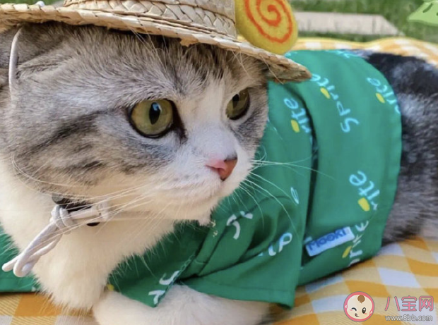 值得收藏的真實又扎心的句子大全 很真實很扎心的經典說說語錄 值得收藏的真實又扎心的句子大全 很真實很扎心的經典說說語錄