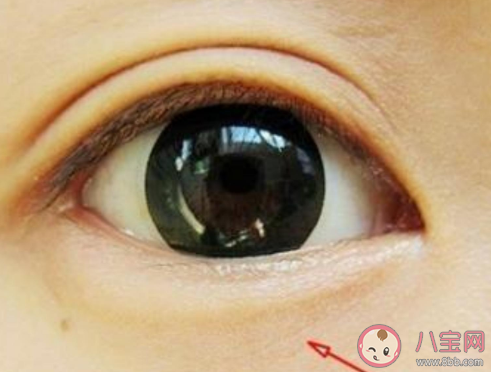 陰鷙是什么意思含義 陰鷙梗的出處是什么