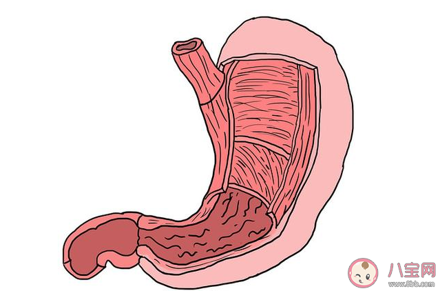 吃播主播的胃比普通人的更大嗎 大胃飲食有什么危害