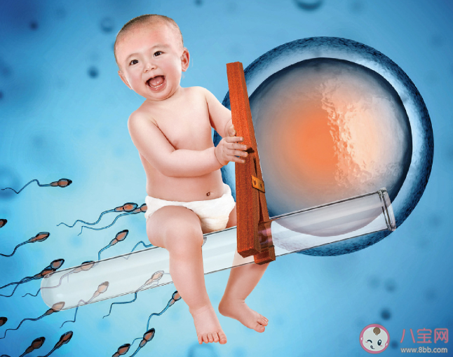 做一次試管嬰兒整個流程要多久 試管嬰兒的流程是怎樣