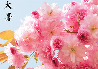 2020大暑節(jié)氣吃什么蔬菜 大暑節(jié)氣時(shí)令蔬菜有哪些