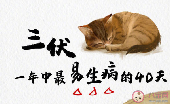 2020三伏天養生小細節 三伏天養生禁忌 2020三伏天養生小細節 三伏天養生禁忌