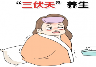 2020三伏天養(yǎng)生小細節(jié) 三伏天養(yǎng)生禁忌