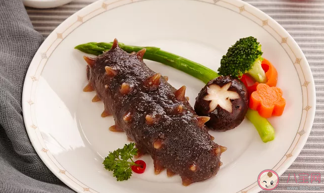 南方海參和北方海參有什么區(qū)別 怎么分辨南方海參和北方海參的不同