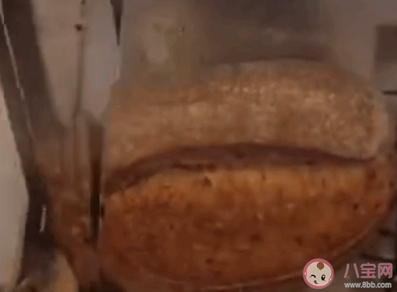 大列巴文學是什么意思 大列巴文學是什么梗 大列巴文學是什么意思 大列巴文學是什么梗