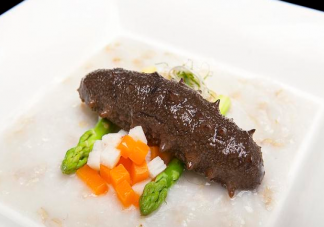 南方海參和北方海參有什么區(qū)別 怎么分辨南方海參和北方海參的不同