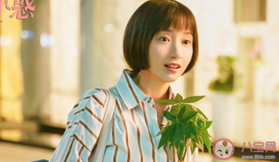 《二十不惑》四個女生的結局是什么 四個女孩的結局介紹 《二十不惑》四個女生的結局是什么 四個女孩的結局介紹