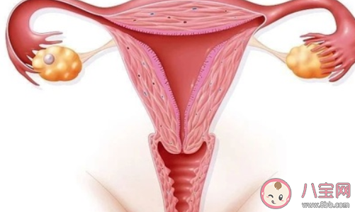長期備孕懷不上怎么辦 備孕懷不上解決方法 長期備孕懷不上怎么辦 備孕懷不上解決方法