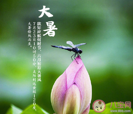 2020今日大暑圖片問候語朋友圈文案 2020今日大暑圖片朋友圈說說配文 2020今日大暑圖片問候語朋友圈文案 2020今日大暑圖片朋友圈說說配文