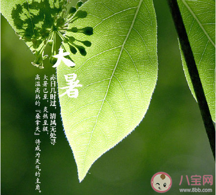 2020今日大暑圖片問候語朋友圈文案 2020今日大暑圖片朋友圈說說配文 2020今日大暑圖片問候語朋友圈文案 2020今日大暑圖片朋友圈說說配文