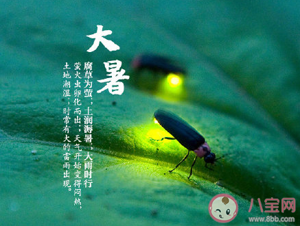 2020今日大暑圖片問候語朋友圈文案 2020今日大暑圖片朋友圈說說配文 2020今日大暑圖片問候語朋友圈文案 2020今日大暑圖片朋友圈說說配文