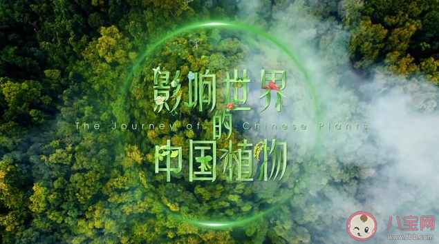 2020適合孩子看的紀錄片清單 適合孩子看的紀錄片有什么