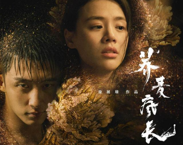 《蕎麥瘋長》是根據小說改編的嗎 蕎麥瘋長劇情講的是什么