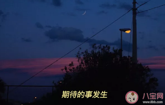 糖和98次想你是什么意思什么梗 98次想你梗的出處是哪里