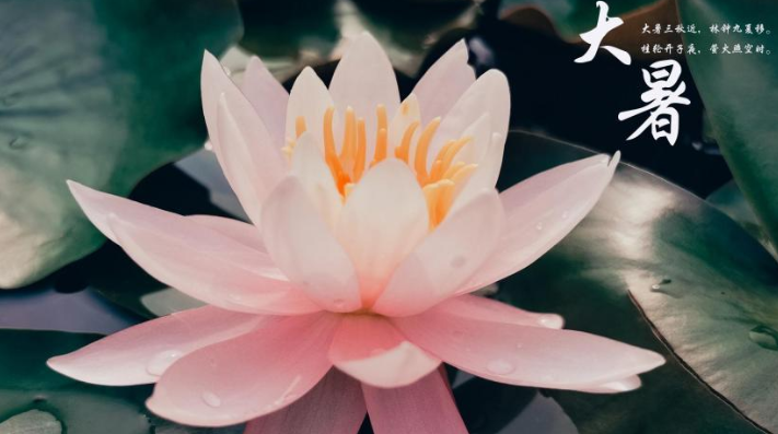 2020大暑節氣的短信祝福語說說文案 2020大暑節氣送祝福的暖心說說句子 2020大暑節氣的短信祝福語說說文案 2020大暑節氣送祝福的暖心說說句子