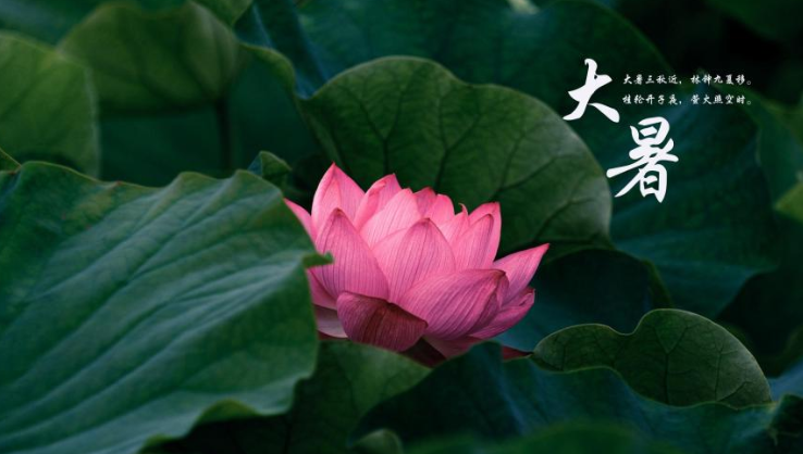 2020大暑節氣的短信祝福語說說文案 2020大暑節氣送祝福的暖心說說句子 2020大暑節氣的短信祝福語說說文案 2020大暑節氣送祝福的暖心說說句子