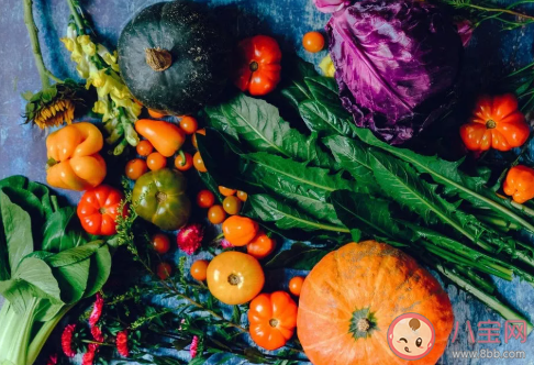 怎么讓寶寶主動吃蔬菜和米飯 挑食寶寶的解決方法