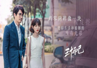 三十而已鐘曉芹大結局是什么 鐘曉芹和鐘曉陽在一起了嗎