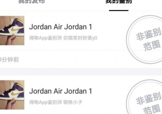 過驗是什么意思 過驗版本和正品有什么區(qū)別