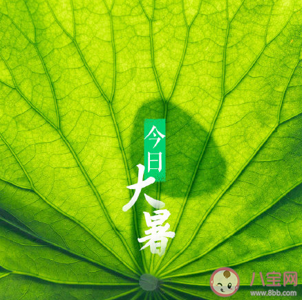 大暑節氣早安朋友圈句子 大暑節氣早安朋友圈文案說說大全