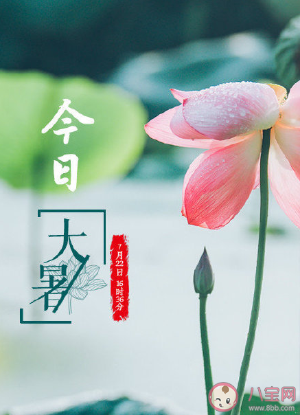 今日大暑早安正能量句子大全 大暑早安溫暖問候語正能量說說 今日大暑早安正能量句子大全 大暑早安溫暖問候語正能量說說