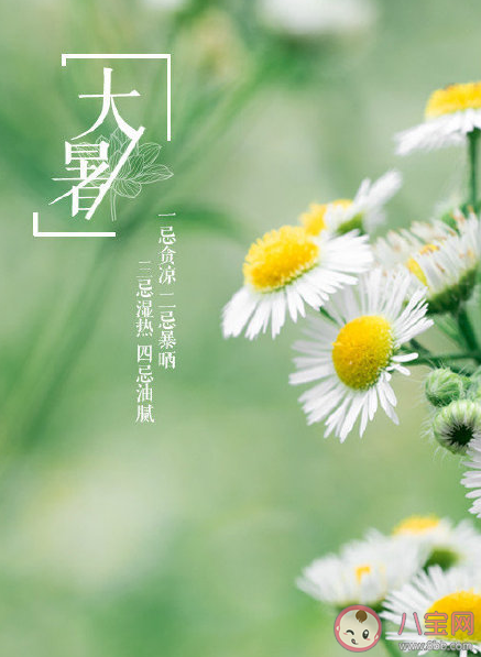 今日大暑早安正能量句子大全 大暑早安溫暖問候語正能量說說 今日大暑早安正能量句子大全 大暑早安溫暖問候語正能量說說