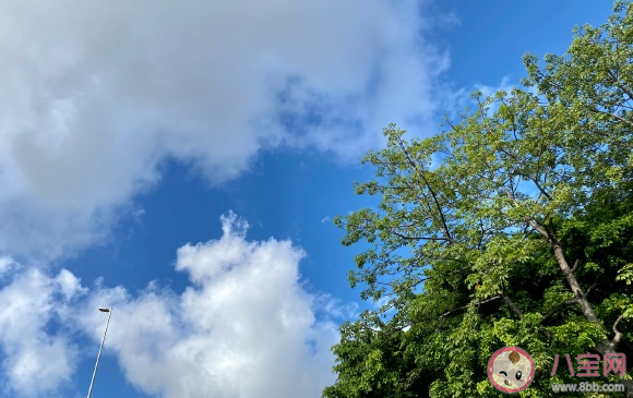 天氣變好了心情說說 天氣舒服心情愉快的說說