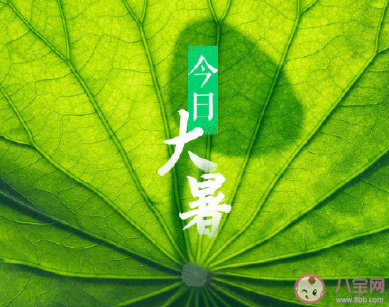 大暑節氣好熱發朋友圈說說 感慨大暑熱心情感言