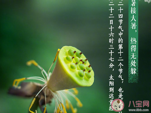 大暑節氣好熱發朋友圈說說 感慨大暑熱心情感言