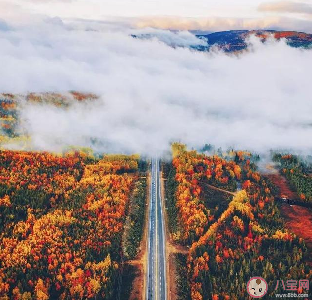 畢業旅行朋友圈文案大全 適合畢業旅行發的朋友圈句子 畢業旅行朋友圈文案大全 適合畢業旅行發的朋友圈句子