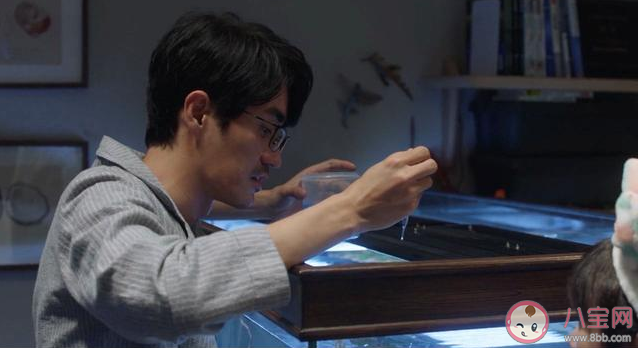 喜歡養魚的男生是什么性格 喜歡養魚的男生特點