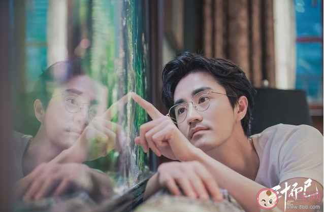 喜歡養魚的男生是什么性格 喜歡養魚的男生特點