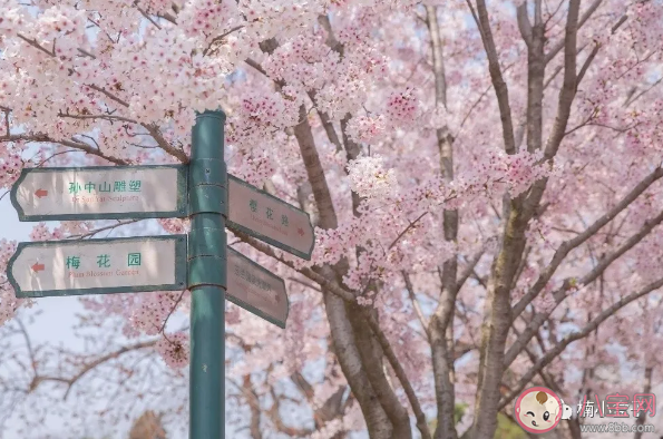 抖音我坐在最后一排給你寫信是什么歌 《Hey KONG》完整歌詞相關介紹