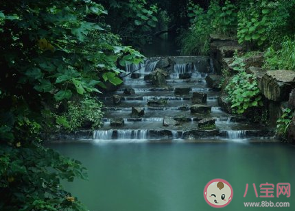 終于出梅了心情感慨 再見梅姑娘的心情句子 終于出梅了心情感慨 再見梅姑娘的心情句子