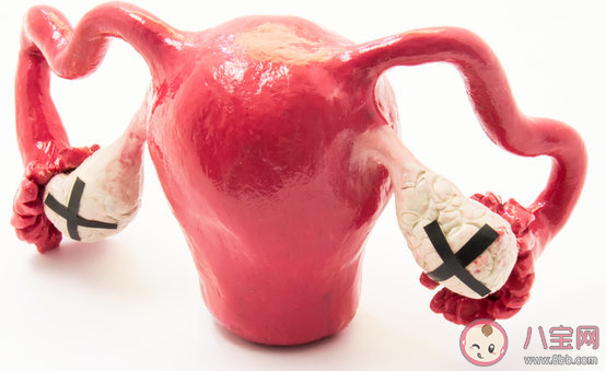 女性越晚絕經越好嗎 正常絕經年齡多少歲 女性越晚絕經越好嗎 正常絕經年齡多少歲