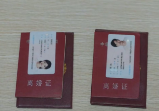 三十而已鐘曉芹跟陳嶼離婚后復婚了嗎 三十而已鐘曉芹陳嶼會復婚嗎