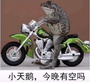 小天鵝今晚有空嗎是什么意思什么梗 小天鵝今晚有空嗎表情包圖片大全 小天鵝今晚有空嗎是什么意思什么梗 小天鵝今晚有空嗎表情包圖片大全