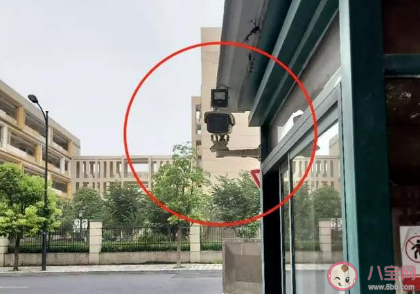 大半小時我看了個寂寞是什么意思 大半小時我看了個寂寞是什么梗