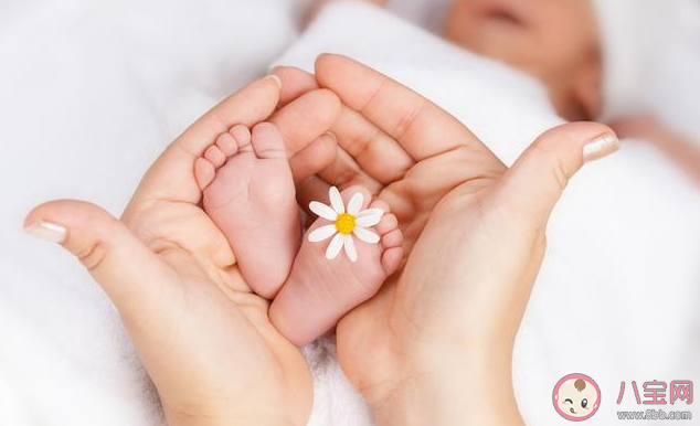 被動操適合多大的嬰兒 嬰兒被動操有必要做嗎