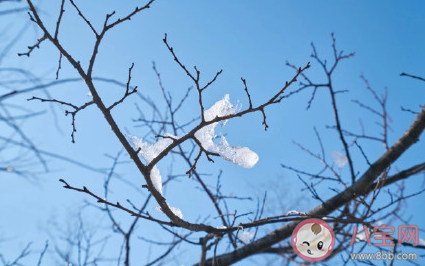 準(zhǔn)大學(xué)生你好的說說句子 準(zhǔn)大學(xué)生你好勵(lì)志句子