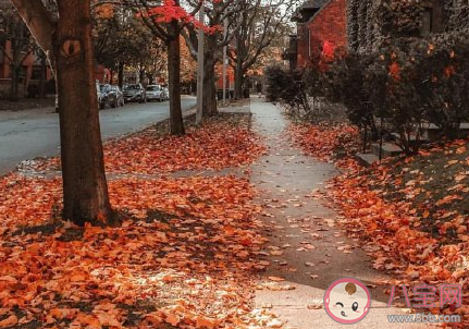 開學季給大一新生的一句話 給大一學生的人生建議