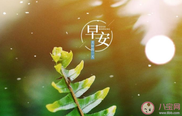 2020周五早安心語問好的正能量說說大全 2020周五早上好的勵志說說句子