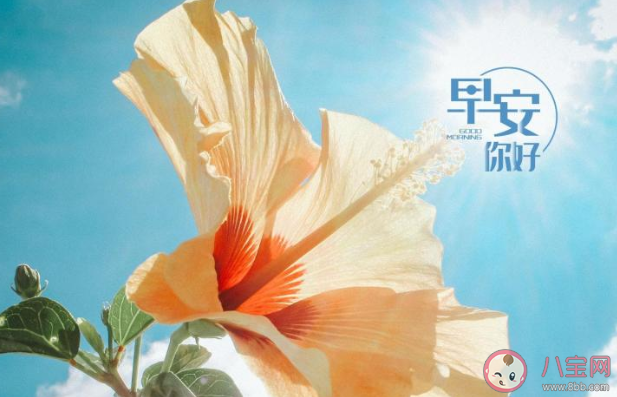 2020周五早安心語問好的正能量說說大全 2020周五早上好的勵志說說句子